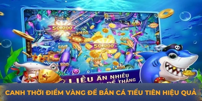 Canh thời điểm vàng để bắn cá tiểu tiên hiệu quả