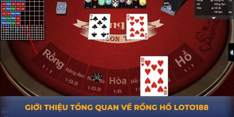 Giới thiệu tổng quan về rồng hổ Loto188