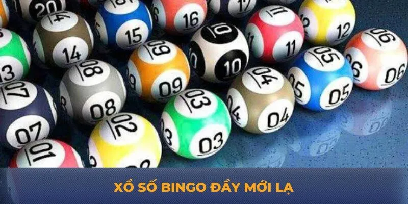 Xổ số Bingo đầy mới lạ
